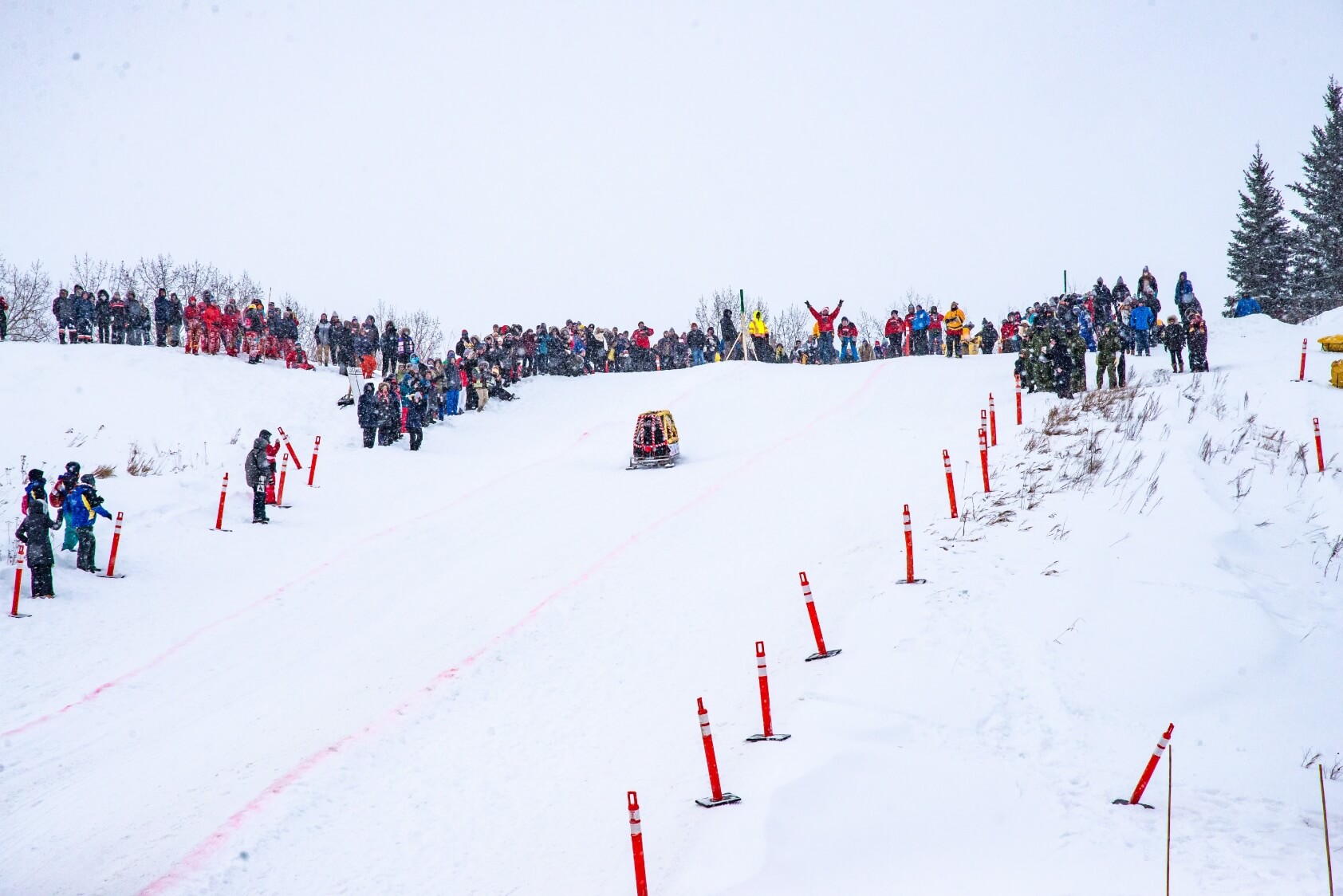 The Great Northern Concrete Toboggan Race